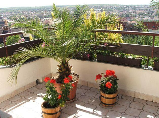 Ferienhaus Apartmanház Zalánki Eger Exterior foto